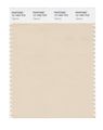 Pantone Smart 12-1403x Color Swatch Card Tapioca 