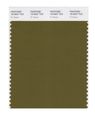 Pantone Smart 18-0627x Color Swatch Card Fir Green 