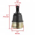 Caltric 2 Lower A-arm Ball Joint Compatible With Honda Trx250 Trx250te Trx250tm Recon Es 1997-2020