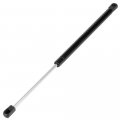Automotive Replacement Shock Lift Supports Fit For Acura Tsx 2010-2014