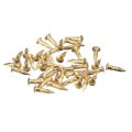 140pcs Small Tiny Nails 2x10mm Dxl Brass Hardware Round Head Nail For Wooden Diy Projects Decorative Boxes Household Tone 