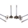 91-98 Nissan 240sx Altima 2 4l Dohc Ka24de Intake Exhaust Valves W Valve Seals