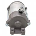 Niche Starter Motor Assembly 0825-015 For Arctic Cat 1000 Prowler Xtz Trv Thunder