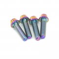 Sorekarain 4 Pcs M4x15mm Rainbow Gr5 Titanium Cone Head Bolts For Bike Rear Derailleur
