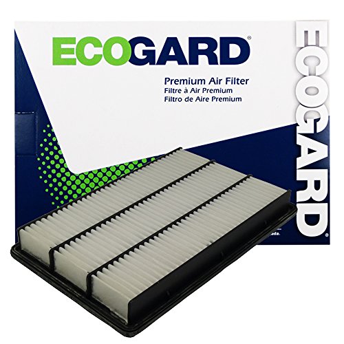 Ecogard XA5304 Air Filter