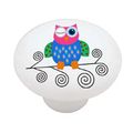 Winking Retro Owl High Gloss Ceramic Drawer Knob 