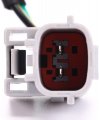 Ignition Distributor 22100-1w600 22100-7b001 Ns40 For Nissan Frontier Xterra Quest Pathfinder Infiniti Qx4 Mercury Villager 3 