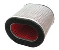 Hiflofiltro Hfa1713 Premium Oe Replacement Air Filter 