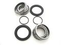 Rear Axle Bearings And Seals Kit For Polaris Predator 500 2004 2005 2006 2007 P-atv-rr-1000-2g5-3 Includes Tapered Roller O 
