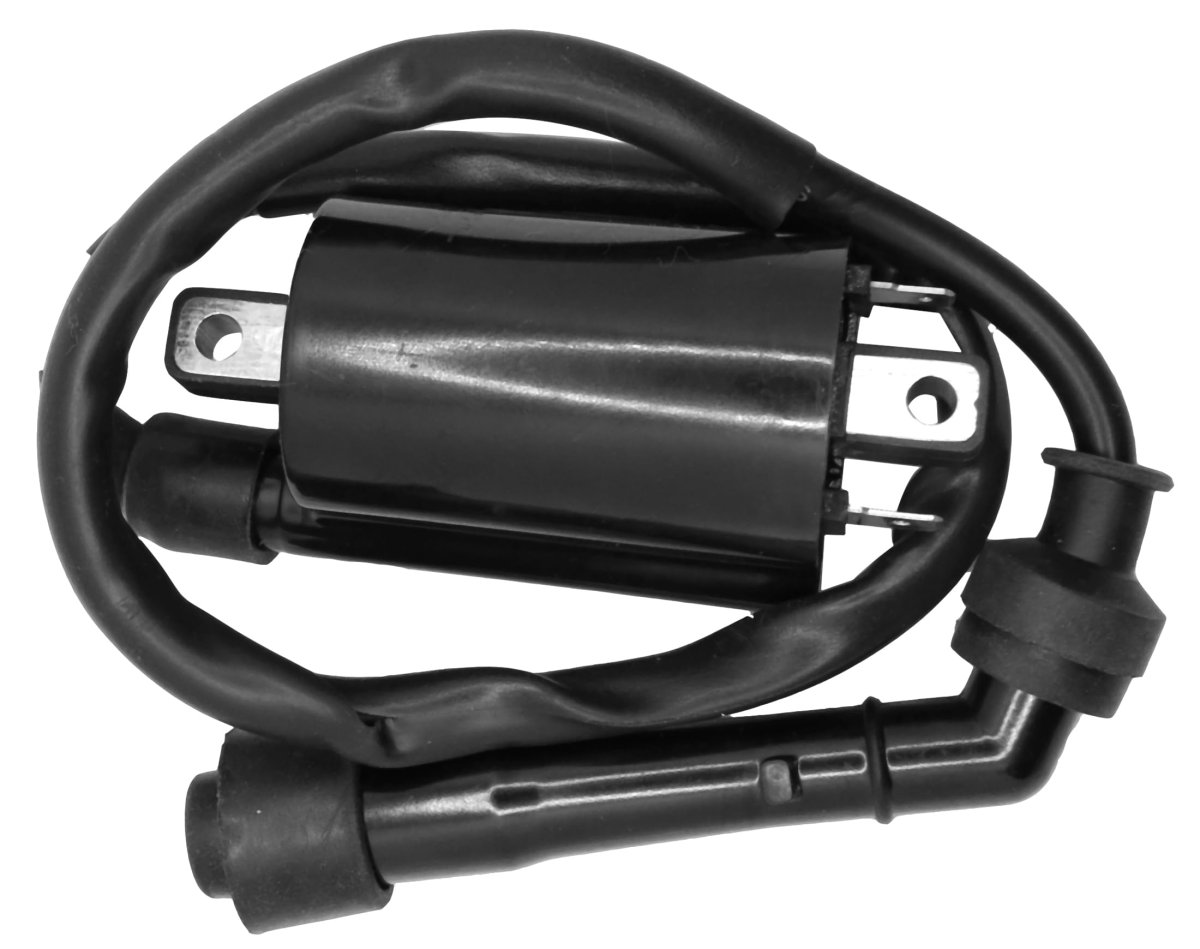 Ignition Coil For Suzuki Boulevard C50 Vl800 2001-2004 Tl1000 Tl1000s 1997-2001 33410-02f00 33420-38a11 33420-38a10