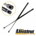 Aintier Automotive Replacement Shock Lift Supports Fit For Hyundai Santa Fe 2001 For 2002 2003 2004 2005-2006