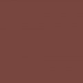 Pantone Tpg 8 5x11 Sheet 18-1541 Brandy Brown 