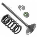 Caltric Intake Valve Kit Compatible With Yamaha 5ta-12111-00-00 5ta-12113-00-00 1wg-12118-00-00
