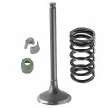 Caltric Intake Valve Kit Compatible With Yamaha 5ta-12111-00-00 5ta-12113-00-00 1wg-12118-00-00