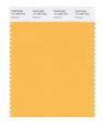 Pantone Smart 14-1050x Color Swatch Card Marigold 