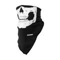 Schampa Traditional Skull Stretch Facemask 