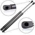 17 14 Window Glass 4192 Sg367001 Lift Supports Struts Fit For Hyundai Santa Fe 2001-2006 100n 23lbs
