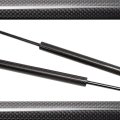 Tsubasa Hood Struts Kit For Acura Integra De5 Type S 2023 2024 2025 Bonnet Modify Lift Support Damper Gas Spring Prop Rods 