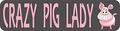8in X 2in Crazy Pig Lady Magnet Magnetic Funny Vehicle Magnets Animal By Stickertalk 