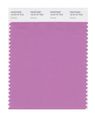 Pantone Smart 16-3115x Color Swatch Card Crocus 