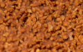 Sungold Abrasives 02027 Psa Cork Sanding Discs Pack Of 25 5