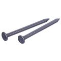 Stainless Steel Common Nails 6 X 2 In Smooth Shank Fasteners 1 Lb Pack 