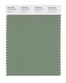 Pantone Smart 17-0210x Color Swatch Card Loden Frost 