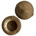Supplying Demand Threaded Bronze Cap 3 8 Inch 2 Pack 