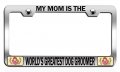 My Is The Worlda S Greatest Dog Groomer Mom Mothers Day Ch Steel Auto Suv License Plate Frame Tag Holder 