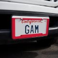 Gazelle Orange Sky Africa Acacia License Plate Tag Frame