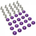 Purple Aluminum Fender Bumper License Plate Bolts Washer Screw Kit 20pc 