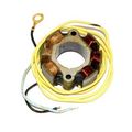 Electrosport Esl460 Lighting Stator 6-pole 50w 
