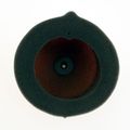 Twin Air Backfire Filter 150216fr