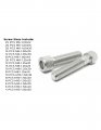 Metric Allen Socket Head Cap Screws Bolts A2-70 Stainless Steel Assortment 211 Pcs