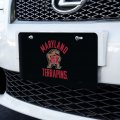 Graphics More Maryland Terrapin Novelty Metal Vanity Tag License Plate