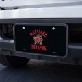 Graphics More Maryland Terrapin Novelty Metal Vanity Tag License Plate