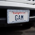 Delicate Hand-drawn Lace Pattern Hearts License Plate Tag Frame