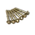 Clutch Cover Screws Replacement Fits Polaris Rzr Xp 1000 Turbo Pro 2021a 2025 A Replaces 6 Pack 