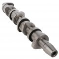 Ocpty Camshaft And 8x Lifters Fit For 2005-2006 Vw Jetta Cam 038109101ah 038109309b