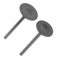 Caltric Exhaust And Intake Valves Compatible With Honda 14721-hn0-a00 14711-hn0-a00