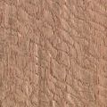 Lacewood 3 Sq Ft Veneer Pack 