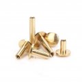 Seroni 10pcs Solid Brass Binding Screws Nail Stud Rivets For Photo Album Leather Craft Studs Belt Wallet Fasteners 10mm Cap
