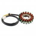 Topteng Stator Coil Generator For Kawasaki Ex 250 Ninjar Gpr Zzr250 Kl 250 252 Elinimator Kle 250 21003-1154