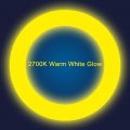 T9 Led Circline Light Bulb 8 Inch 1600lm Circular 13w Clear Cover 2700k Warm White Replacement For Fc8t9 22-watt Fluorescent