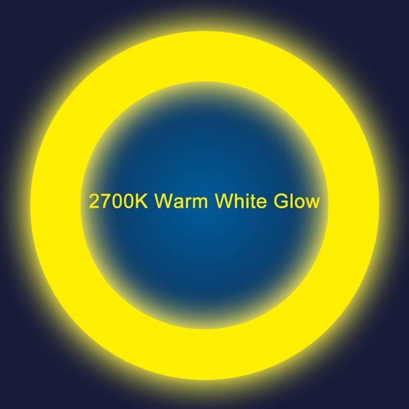 T9 Led Circline Light Bulb 8 Inch 1600lm Circular 13w Clear Cover 2700k Warm White Replacement For Fc8t9 22-watt Fluorescent