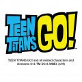 Graphics More Teen Titans Go Starfire Novelty Metal Vanity Tag License Plate
