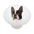 Gotham Decor Boston Terrier Ceramic Drawer Knob 