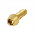 M5x15mm Titanium Ti Hex Socket Taper Head Bolts Screws Gold Tone 