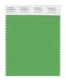 Pantone Smart 16-6339x Color Swatch Card Vibrant Green 