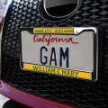 William Mary School Logo Full Size Standard License Plate Metal Frame
